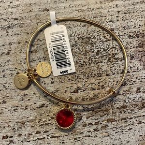 Alex and Ani July Bracelet